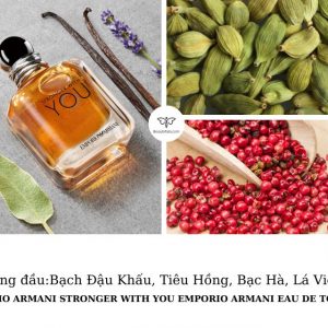 emporio-armani-stronger-with-you