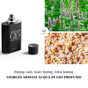 nước-hoa-acqua-di-gio-nam