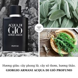 nước-hoa-giorgio-armani-nam